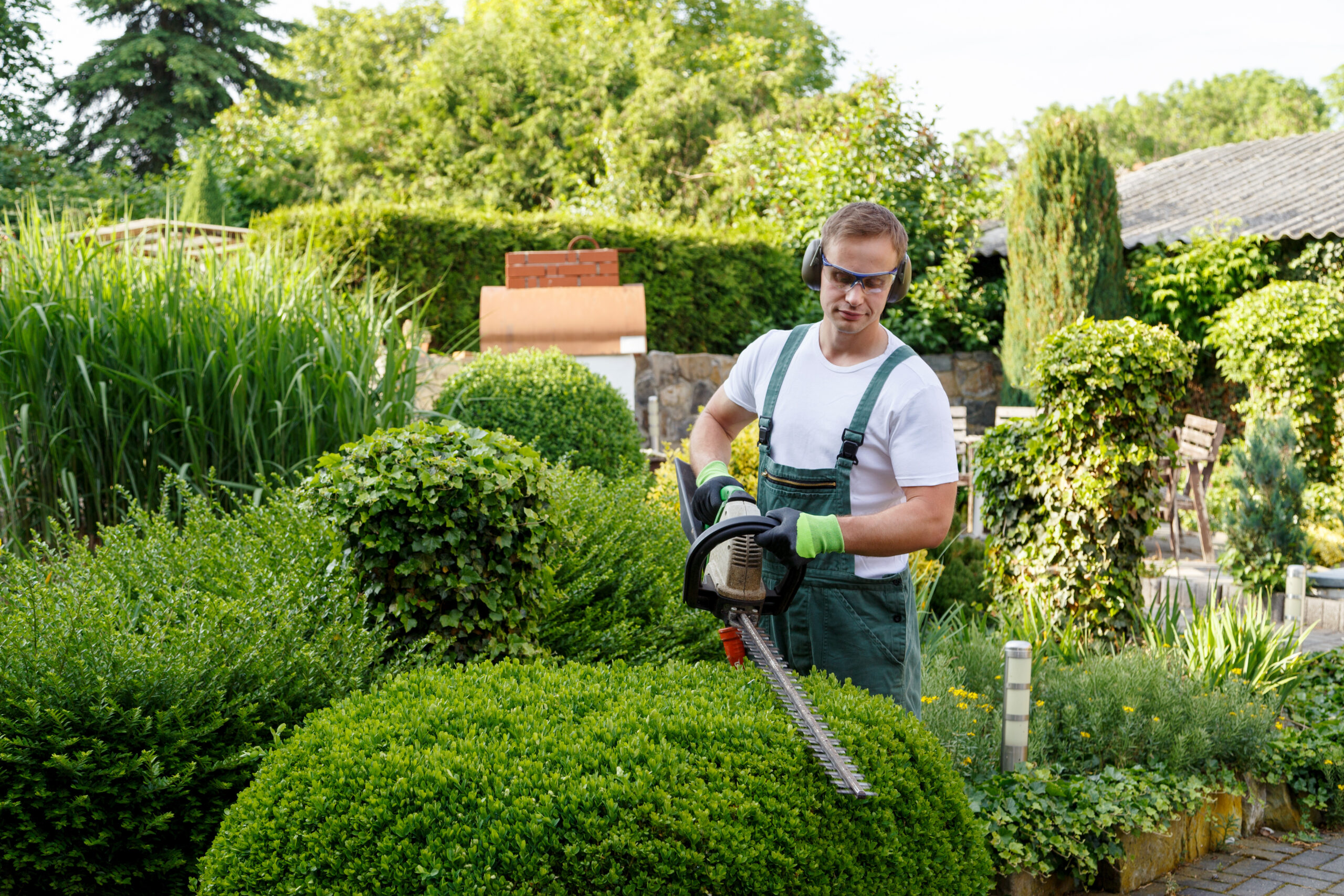 Heckenschnitt in der Garten- und Landschaftsgestaltung