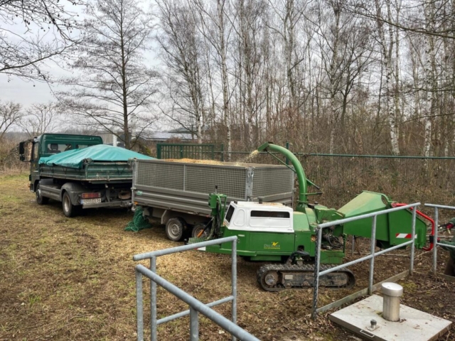 Holzschredderarbeiten vor Ort