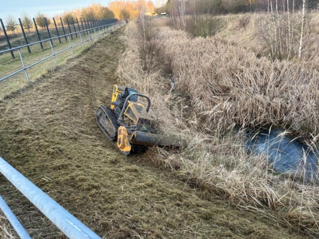 Wildwuchsentfernung unerwünschter Pflanzen wie Unkraut, Sträucher oder Gehölze