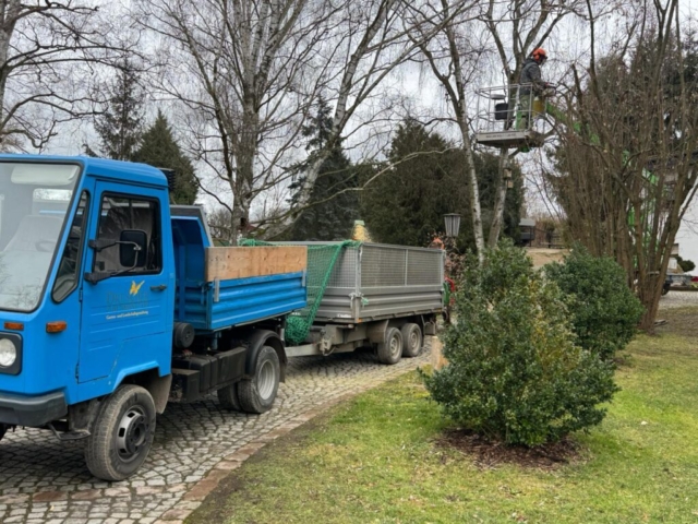 Unsere Baumfällarbeiten