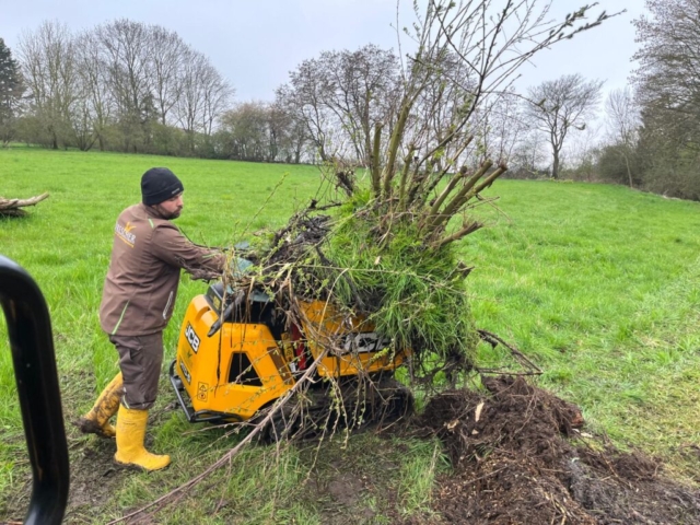 Forstmulch Service effizientes Mulchen von Hecken und Wildwuchs