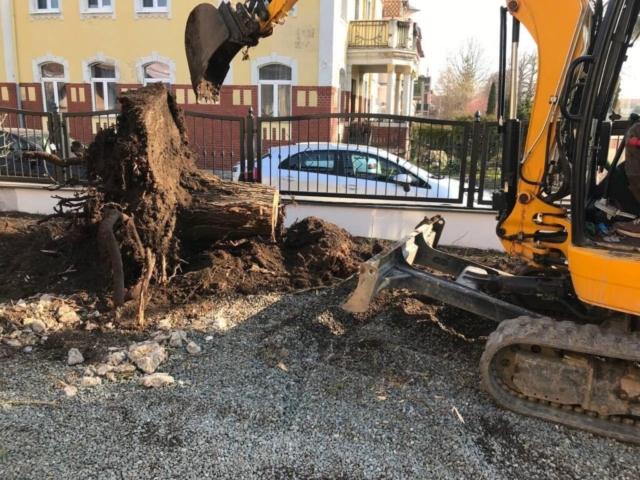 Baumwurzelentfernung mittels Bagger.