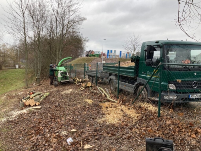 Holzschredderarbeiten mit unserem Raupenfuhrwerk