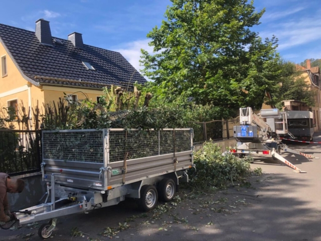 Entsorgung von Heckenschnitt